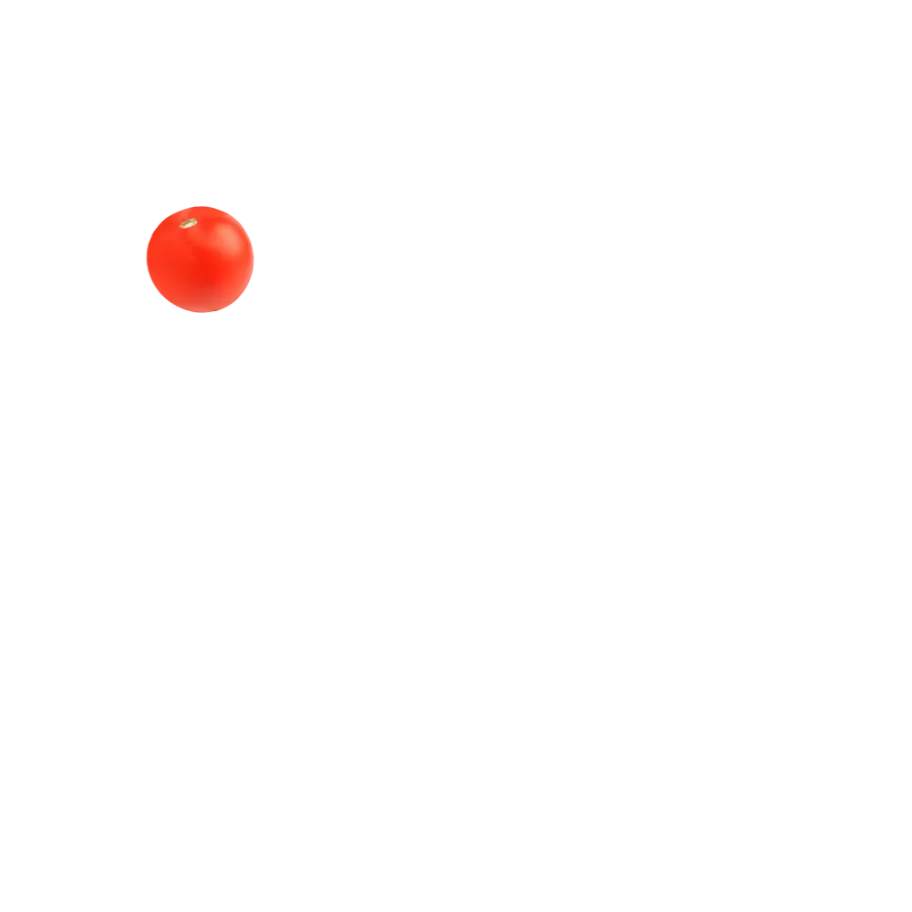 салата 1