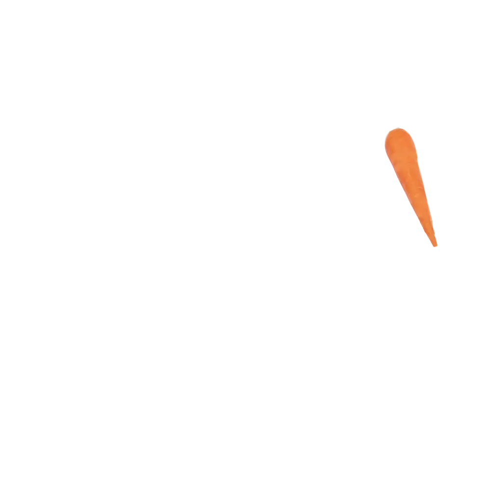 салата 6